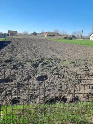 Teren intravilant. comuna Checea  - imagine 2