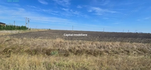 Teren extravilan cu potențial de dezvoltare, la sosea DN6