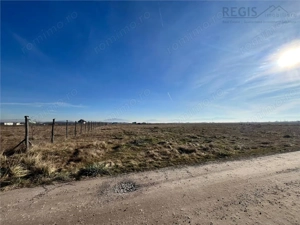 Teren intravilan, HARMAN 1000MP - imagine 3