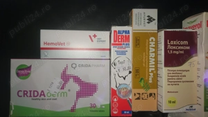 Medicamente uz veterinar - pentru caini si pisici - imagine 2