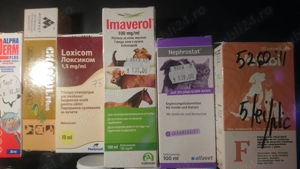 Medicamente uz veterinar - pentru caini si pisici - imagine 3