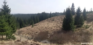 Teren 9.000 mp în Bălcești, Beliș- aproape de lac, ideal pentru cabane - imagine 2