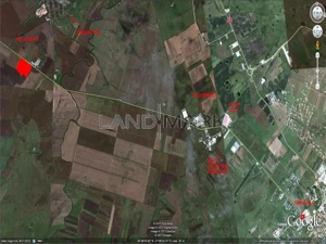 Teren Industrial cu PUZ de vanzare pe Calea Torontalului - imagine 4