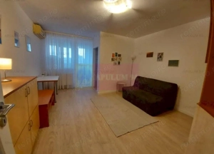 Garsoniera Iancului- Elev Stefan Stefanescu.