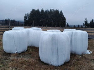 Vând baloți fân producție 2025