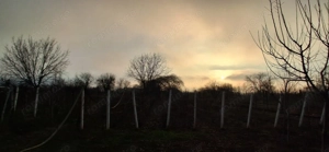 Casă spațioasă cu teren generos – Valea Călugărească, sat Pantazi - imagine 12