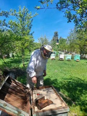 teren de inchiria , Scoarta GJ