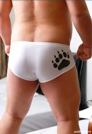 Pasiv. Totul din plăcere.