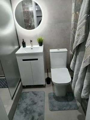 De inchiriat apartament cu o camera in zona Dumbravita - imagine 3