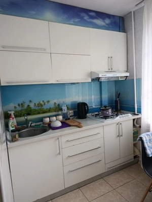 Apartament cu 2 camere de inchiriat in zona Dacia - imagine 3