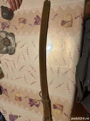 curea pentru caini puternici - imagine 2