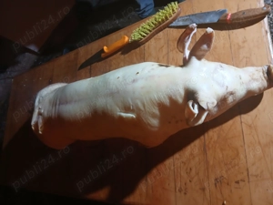 Purcei pentru rotisor