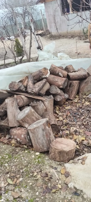 vand lemne de foc , 299 lei toate 