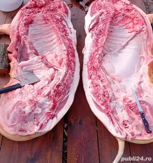 Vand carcasa de porc!
