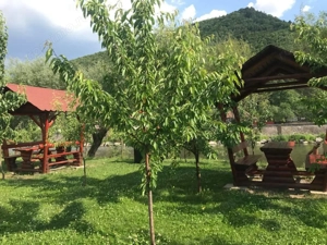 Disponibila de REVELION cabana complet echipat #259; de  #238;nchiriat  #238;n Muntii Calimani - imagine 5