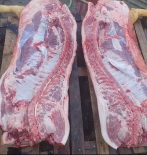 Carcasă de porc pietrain 