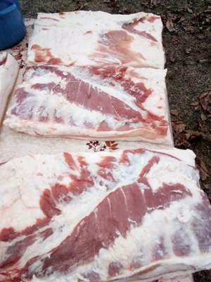 Carcasă de porc pietrain  - imagine 3