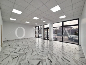 AX1172 Blascovici, Strada Maslinului, Comision 0%