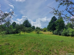 Teren întăbulat de vânzare in satul BREB MM - imagine 2