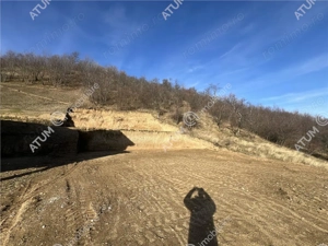 Teren intravilan de 1641 mp cu PUZ aprobat si utilitati in Cisnadioara - imagine 2