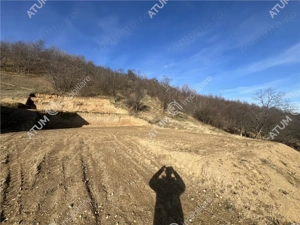 Teren intravilan de 1641 mp cu PUZ aprobat si utilitati in Cisnadioara - imagine 10