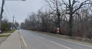 Teren de vânzare   1000 mp în Mogoșoaia, zonă ideală pentru locuință - imagine 4