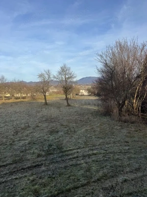 Două case pe același teren, 180 mp utili, 25 ari, Șindrești - imagine 19