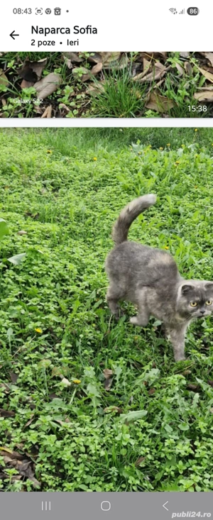 Nu regretati daca ne luati! - imagine 2