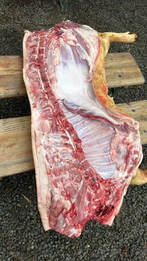 Porci pentru Craciun - imagine 2