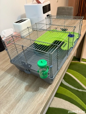 Vand Cusca pt Hamsteri,Gerbili,Porcusori de Guineea - imagine 2