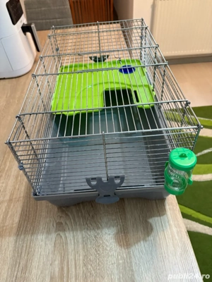 Vand Cusca pt Hamsteri,Gerbili,Porcusori de Guineea - imagine 4