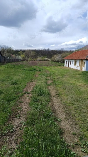 Teren de vânzare sat Negreni, comuna Dărmănești, jud. Argeș - imagine 7