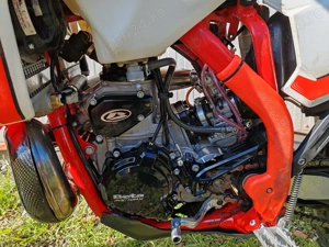 Beta X-Pro 300 2025 - imagine 5