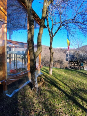 Vând casă bătrânească in Berevoiesti Arges - imagine 10