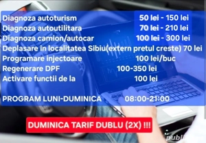Diagnoza Auto camion,50lei Erori Regenerare DPF filtru particule