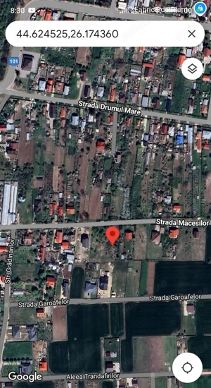 Vand teren de 1500 mp in Caciulati, comuna Moara Vlasiei, jud. Ilfov - imagine 4