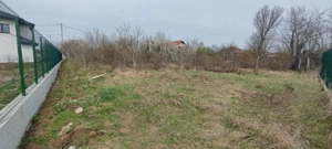 Vand teren de 1500 mp in Caciulati, comuna Moara Vlasiei, jud. Ilfov - imagine 2