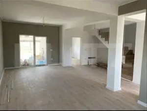 Casa Duplex modern Mosnita Noua, iesirea spre Timisoara