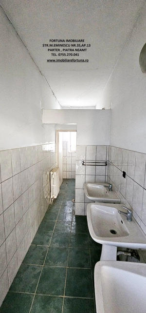 Complex imobiliar format din cladiri si constructii industriale 18625 mp + teren intravilan 50718 mp - imagine 19