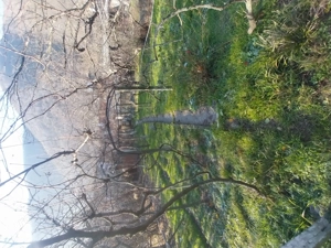 Casa de vanzare  - imagine 7