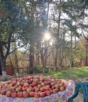 Schimb vind Casa la Durau - imagine 6