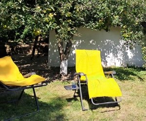 Schimb vind Casa la Durau - imagine 10