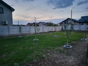 Vand teren intravilan Albesti  - imagine 3