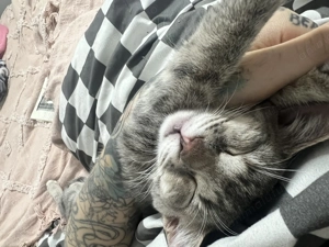 Se dă spre adopție fetița, maxim 6 luni. Este salvată de pe stradă  - imagine 3