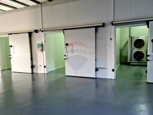 Teren agricol 13,1 ha + Hală 700 mp + Utilaje Agricole - Piscu, Galati - imagine 14