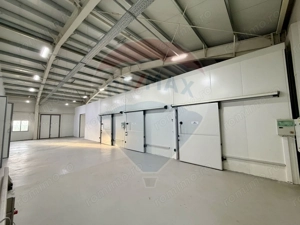 Teren agricol 13,1 ha + Hală 700 mp + Utilaje Agricole - Piscu, Galati - imagine 5