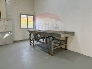 Teren agricol 13,1 ha + Hală 700 mp + Utilaje Agricole - Piscu, Galati - imagine 13