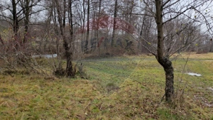 Teren 2,932mp Sarbi (Budesti) / Drumul Principal - imagine 6