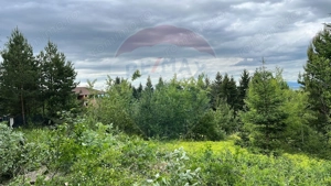 Teren Sacele / Strada Valea Larga 2000 mp - imagine 7