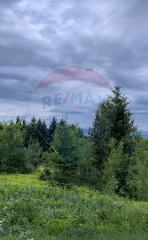 Teren Sacele / Strada Valea Larga 2000 mp - imagine 9